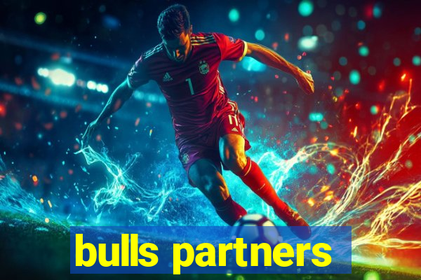 bulls partners